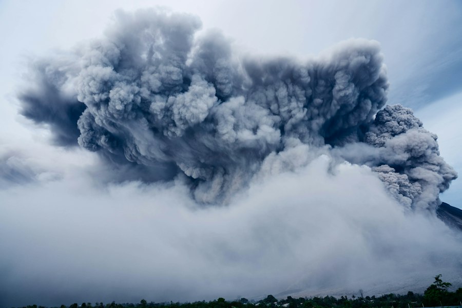 display stand
