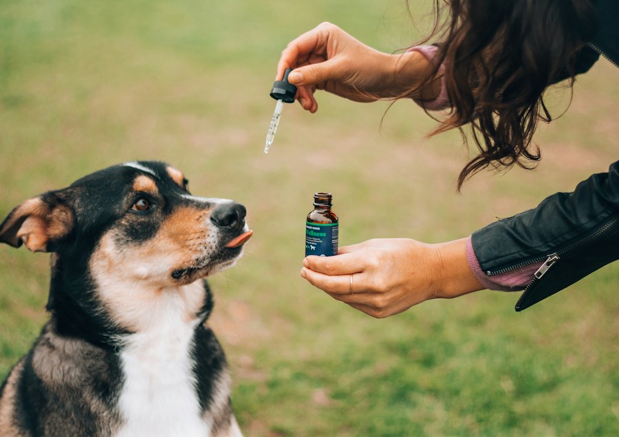 vape mod